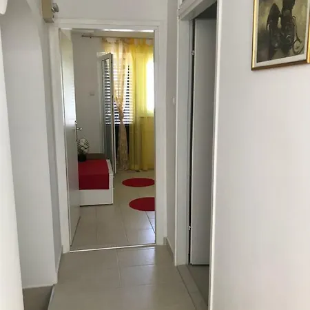 Porat * 诺维·维诺多尔斯基